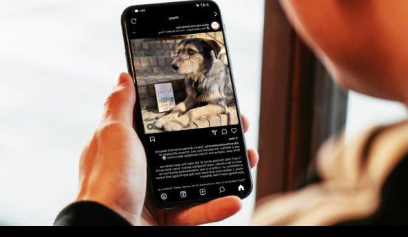Photo of a man holding a phone with an image of a dog displayed.